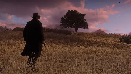 Red Dead Redemption 2 Xbox one