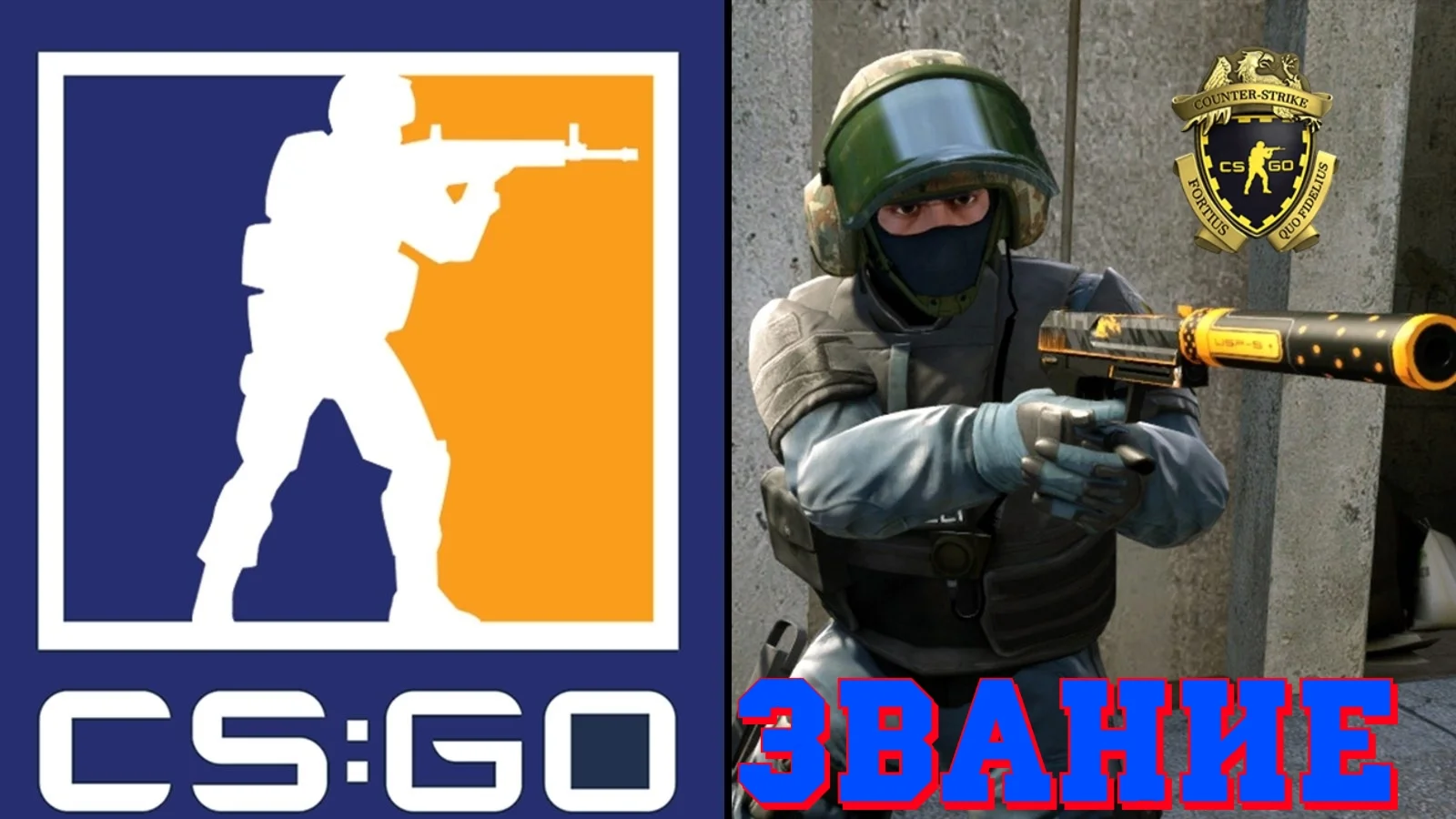 CS:GO 1 SILVER\4 SILVER