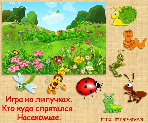 КТО КУДА СПРЯТАЛСЯ насекомые /электронная версия