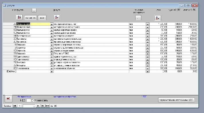 Customer Accounting for Small Businesses (MAccess)