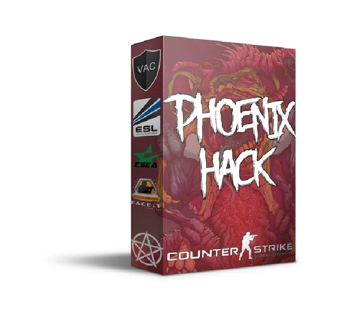 Phoenix CS:GO - 1 Day