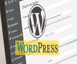 Автоматическое добавление статей Wordpress