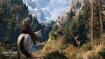 The Witcher 3 Wild Hunt (STEAM) (GLOBAL) Ведьмак 3