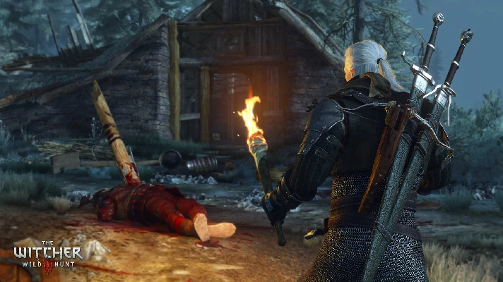 🤠The Witcher 3 Wild Hunt (STEAM) (Region freе)