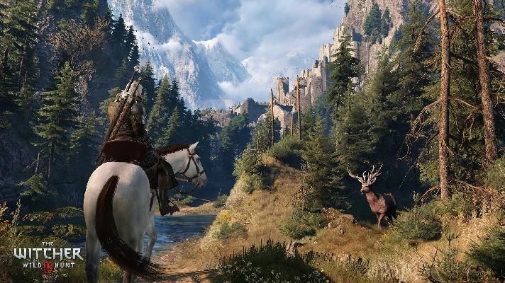 🤠The Witcher 3 Wild Hunt (STEAM) (Region freе)