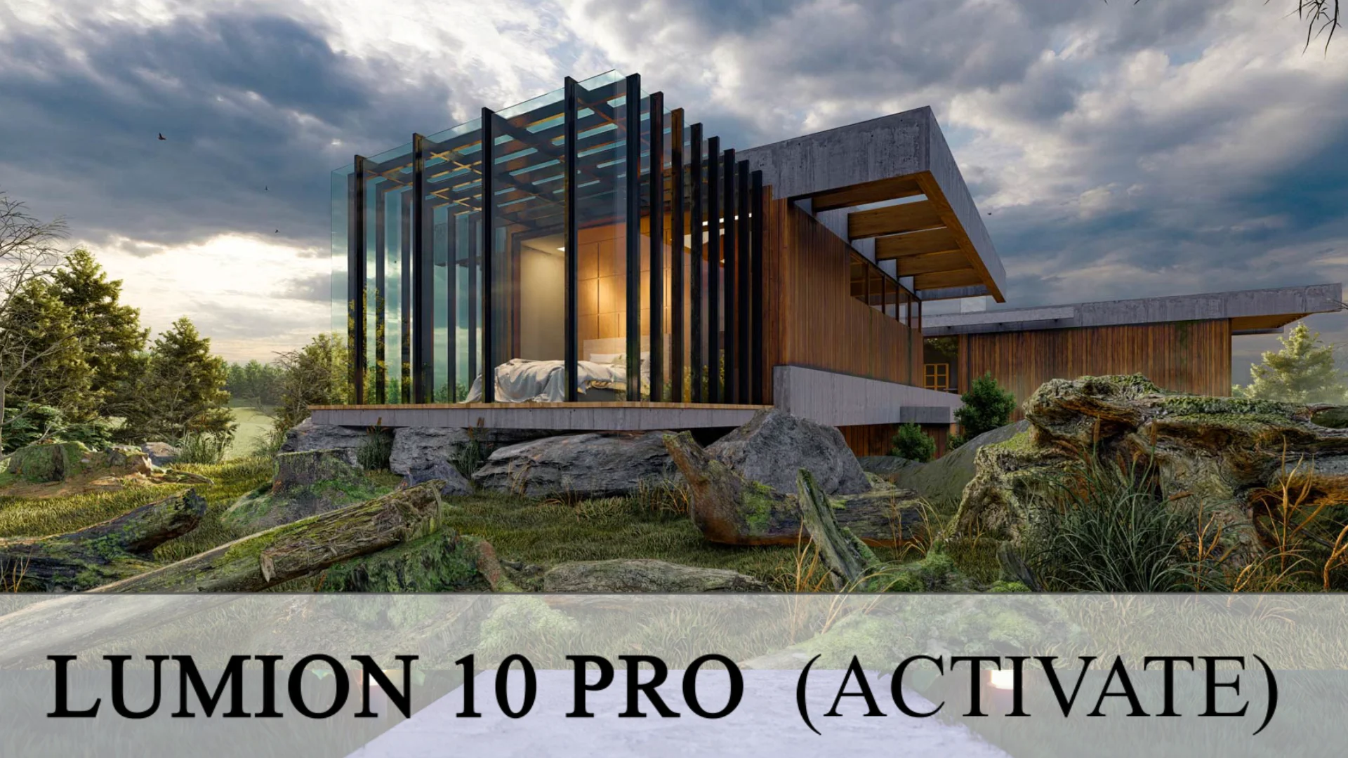 Lumion 10 Pro (Активный)