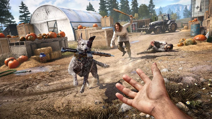 🍔 FAR CRY 5 + Far Cry New Dawn (Region free)