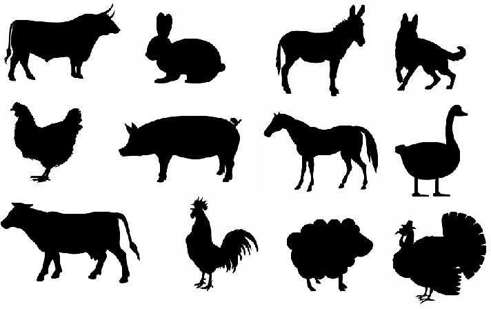 Farm Animal svg,cut files,silhouette clipart,vinyl file