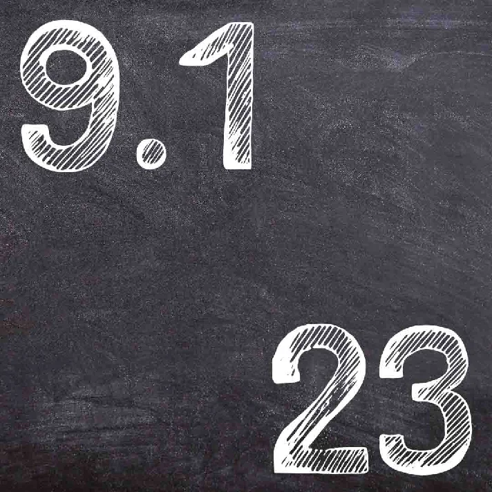 IDZ Ryabushko 9.1 Variant 23