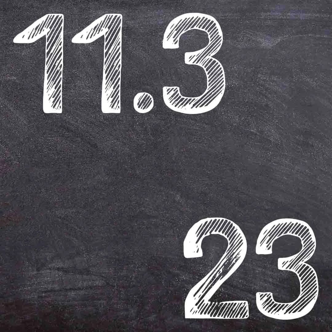 IDZ Ryabushko 11.3 Variant 23