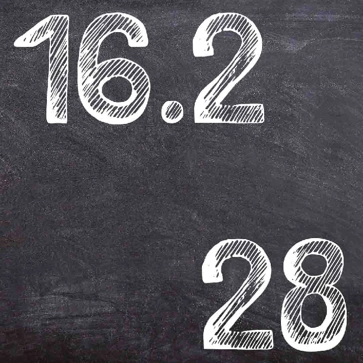 IDZ Ryabushko 16.2 Variant 28