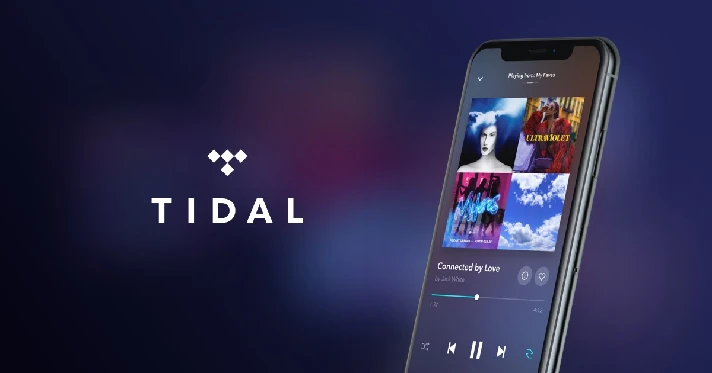 TIDAL HiFi PLUS / MASTER 1 MONTH Warranty