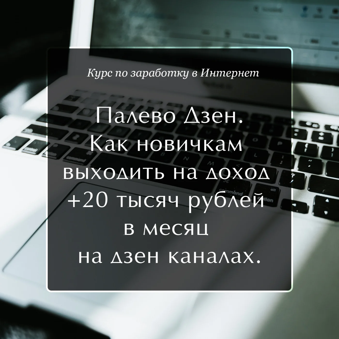 Палево Дзен. Как новичкам выходить на доход +20 т. р.