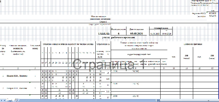 Time Sheet - Professional Edition