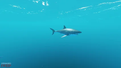 ⛏ Stranded Deep - STEAM (Region free)