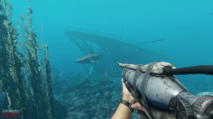 Stranded Deep - STEAM (Region free) - Лицензия