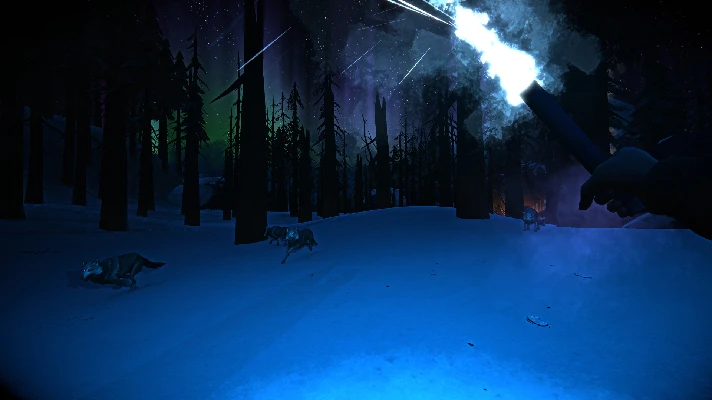 ⭐ The Long Dark - STEAM (Region free)