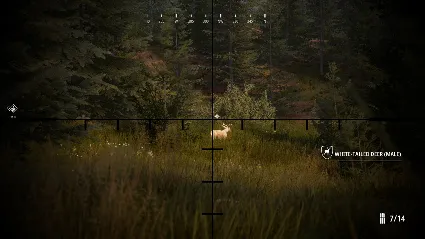 Hunting Simulator 2 Bear Hunter Edition Xbox one