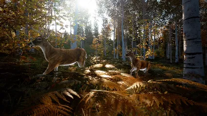 Hunting Simulator 2 Bear Hunter Edition Xbox one