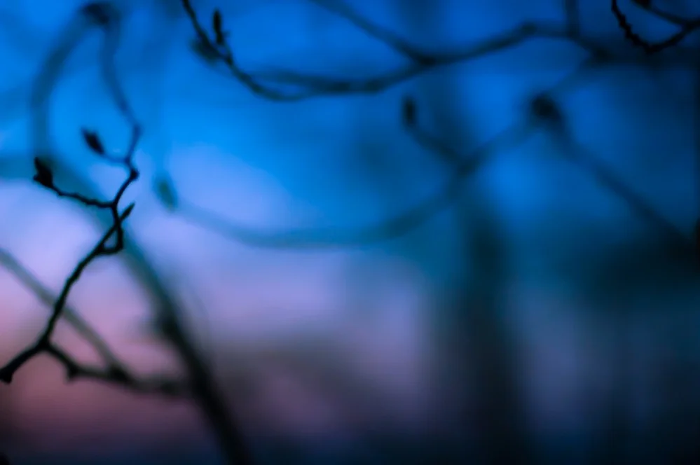 Насквозь (3008x2000)