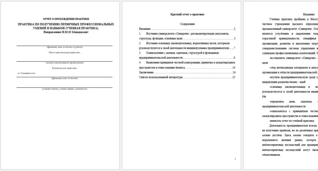 Synergy Management Practice (Entrepreneurship)