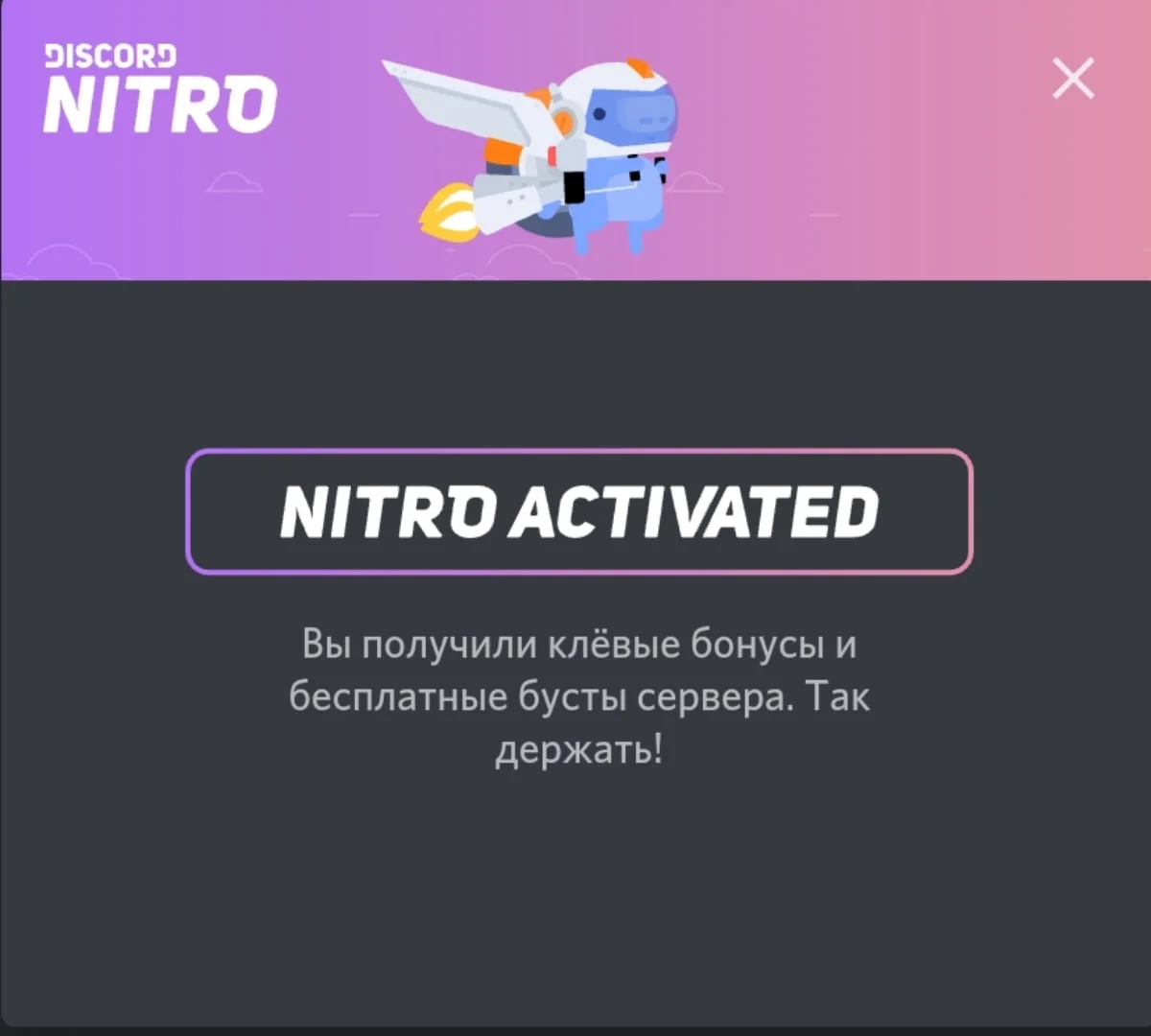 Discord nitro 3 месяца