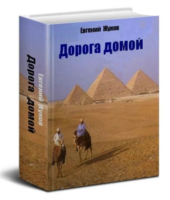 Дорога домой