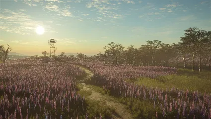 theHunter Call of the Wild - 2021 Edition Xbox one