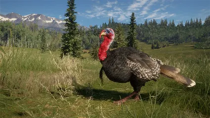 theHunter Call of the Wild - 2021 Edition Xbox one