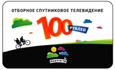 Карта оплаты Радуга ТВ 100 рублей
