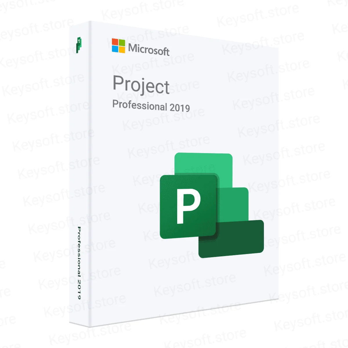 Microsoft Project Professional 2019