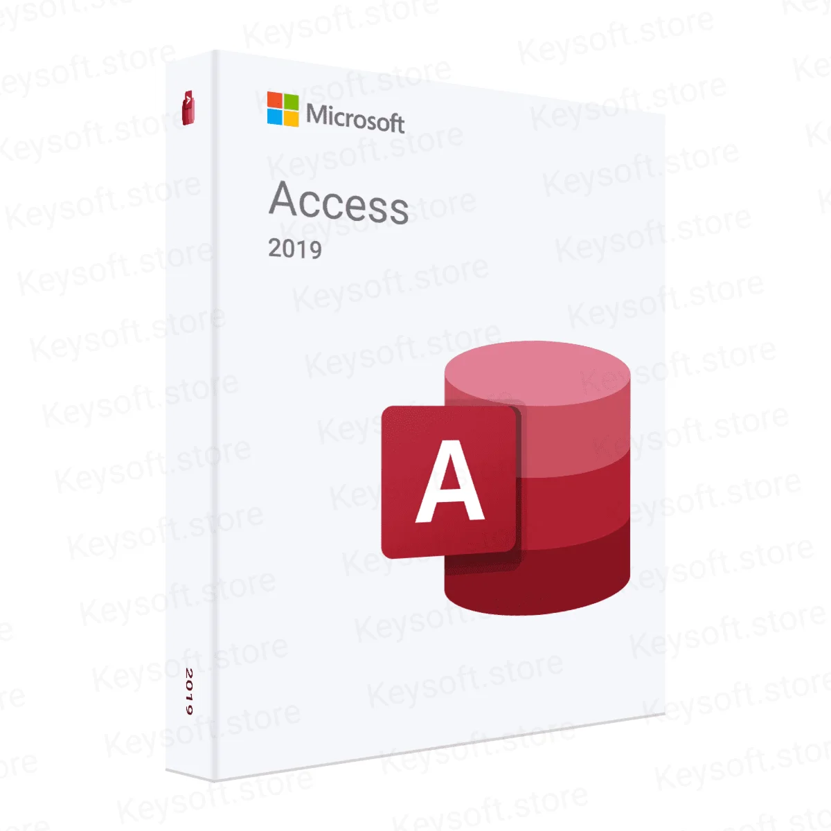 Microsoft Access 2019