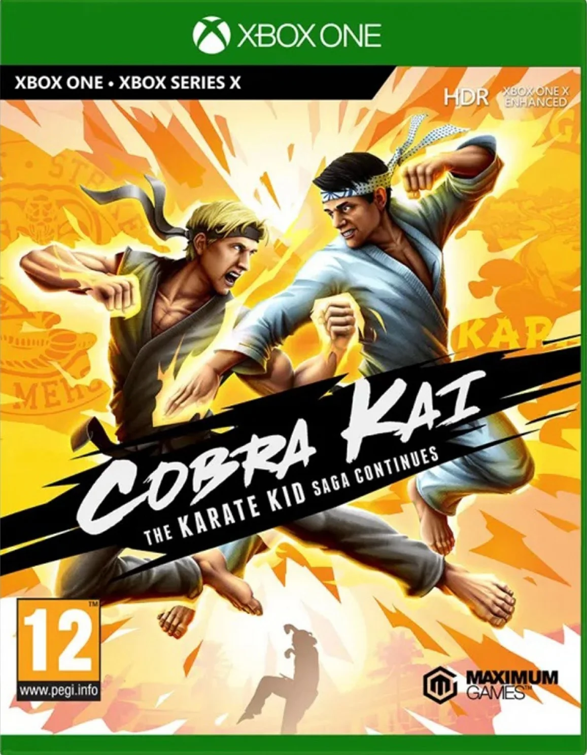 Cobra Kai The Karate Kid Saga Continues Xbox one