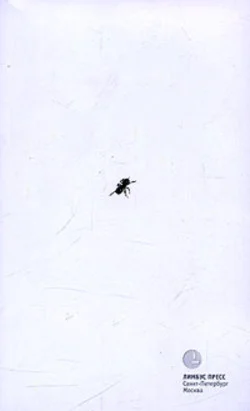 Старобинец Анна - Щель