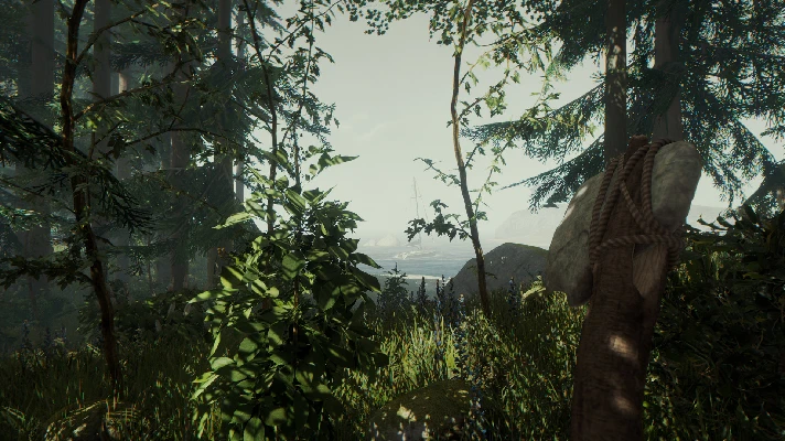 The Forest (Steam Gift RU)