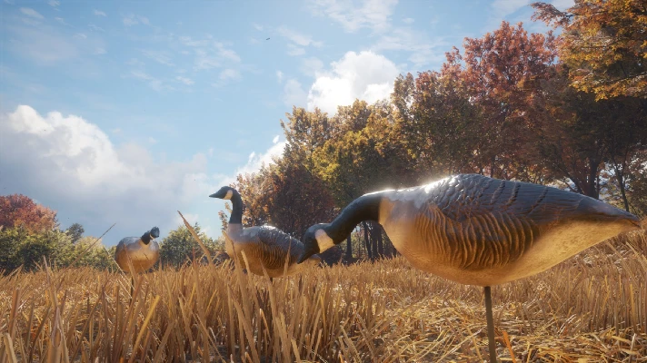 theHunter: Call of the Wild - Wild Goose Chase Gear RU