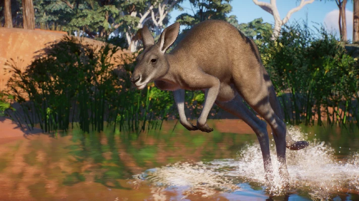 Planet Zoo: Australia Pack (Steam Gift RU)