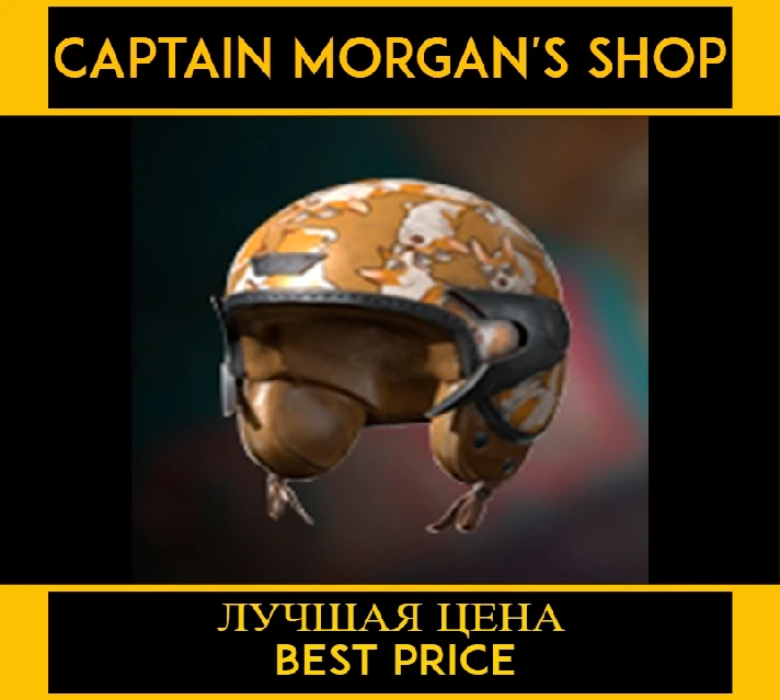 PUBG 2020 Corgi Helmet 1 (legal code) Region free