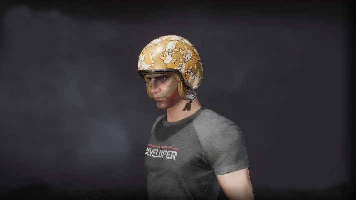 PUBG 2020 Corgi Helmet 1 (legal code) Region free