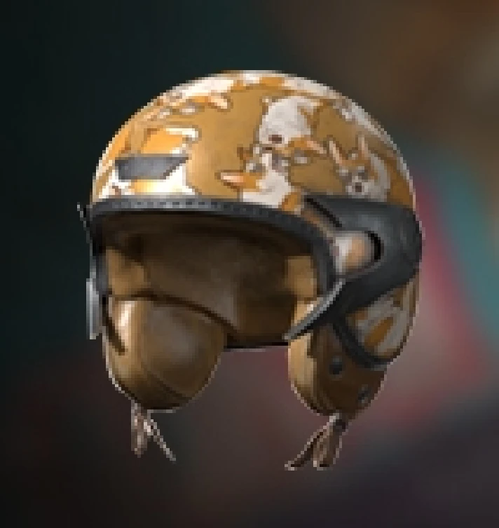 PUBG 2020 Corgi Helmet 1 (legal code) Region free