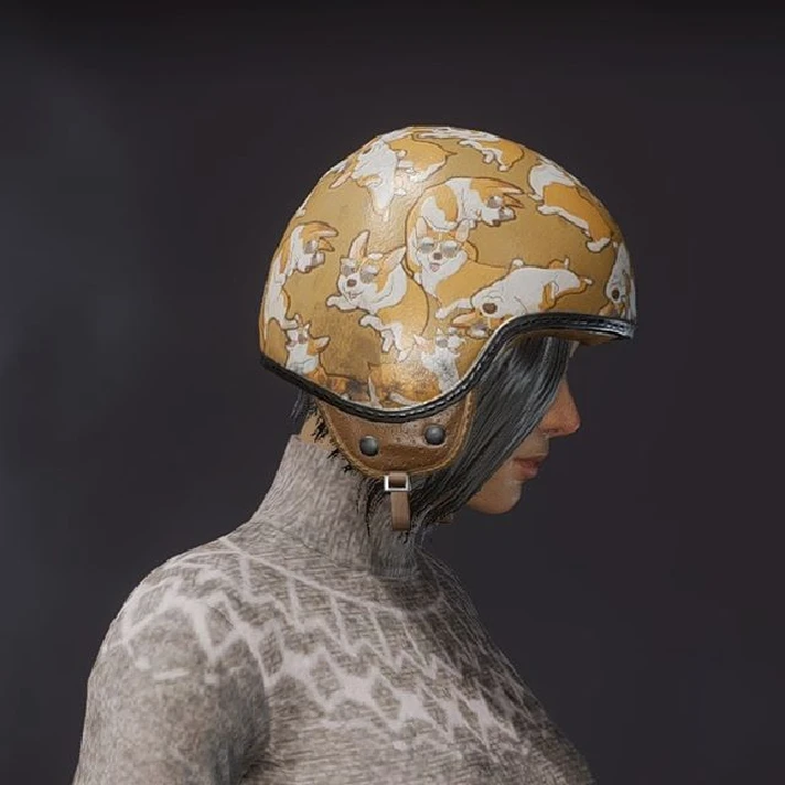 PUBG 2020 Corgi Helmet 1 (legal code) Region free