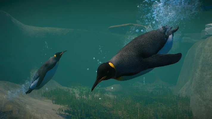 Planet Zoo: Aquatic Pack (Steam Gift RU) 🔥