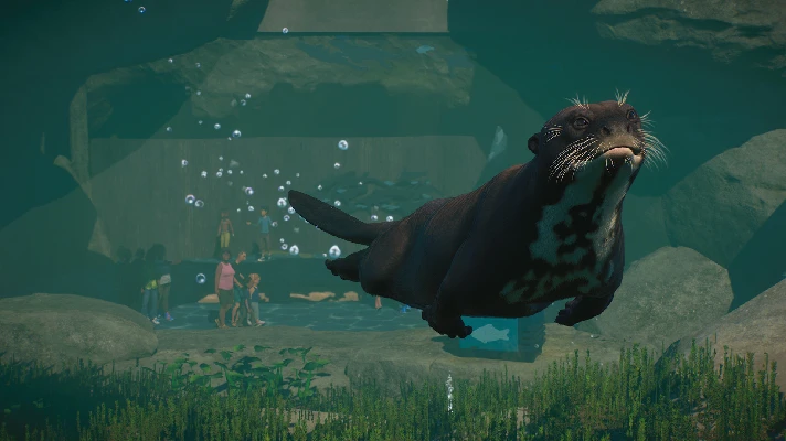 Planet Zoo: Aquatic Pack (Steam Gift RU) 🔥