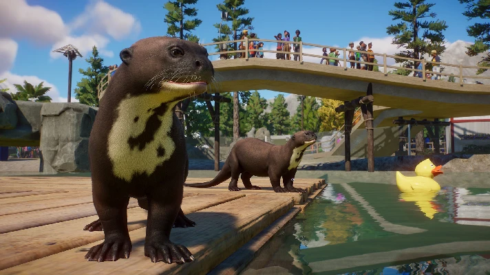 Planet Zoo: Aquatic Pack (Steam Gift RU) 🔥