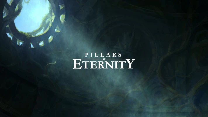 ✅ Pillars of Eternity аккаунт Epic Games ✅