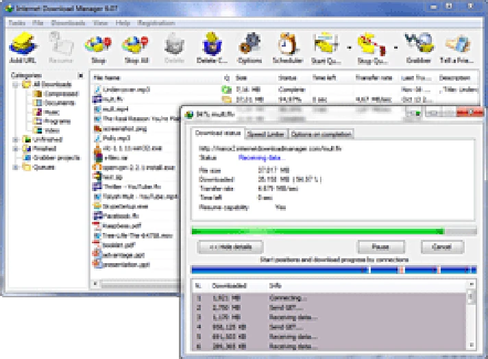 IDM Lifetime- Internet Download Manager 1 User Lifetime