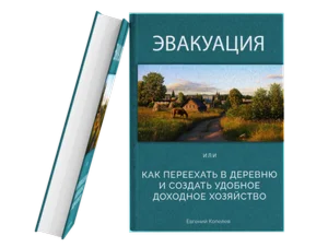 Как переехать в деревню и создать доходное хозяйство