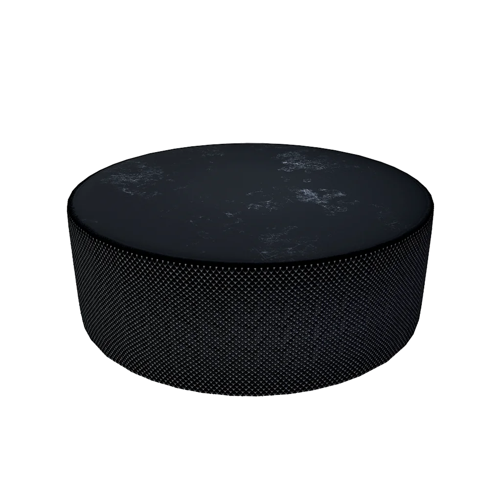 Хоккейная шайба