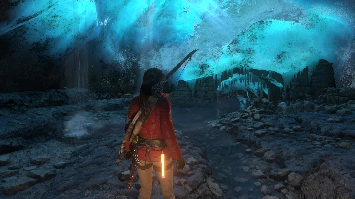 Rise of the Tomb Raider: 20 Year (STEAM) Account