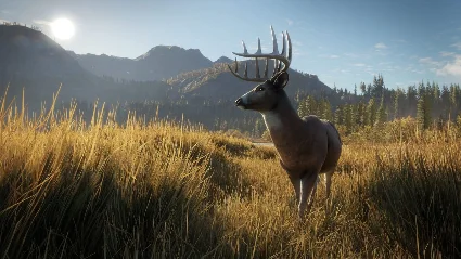 theHunter: Call of the Wild ✔ STEAM Аккаунт ✔ на 90 дней